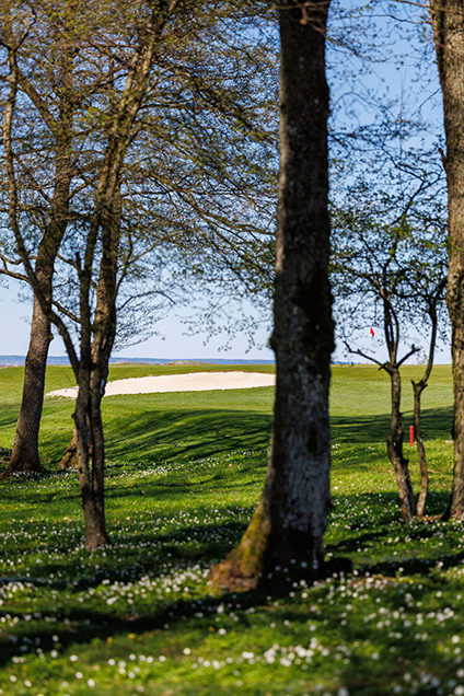 En härlig vårdag ute på banan. Vitsipporna blommar och solen skiner.